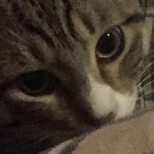 Meet your Posher, Jennafer